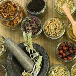 Chinese Herbs - Treat Body