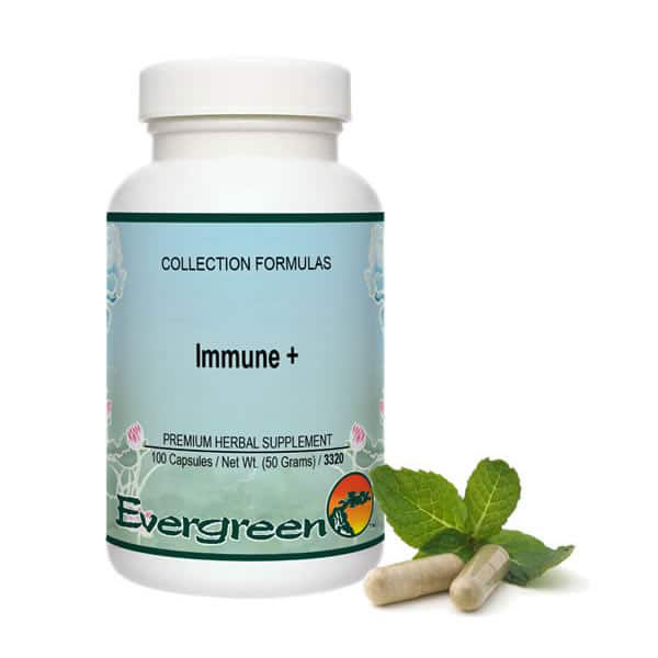 Immune Plus Evergreen Herbal Supplement
